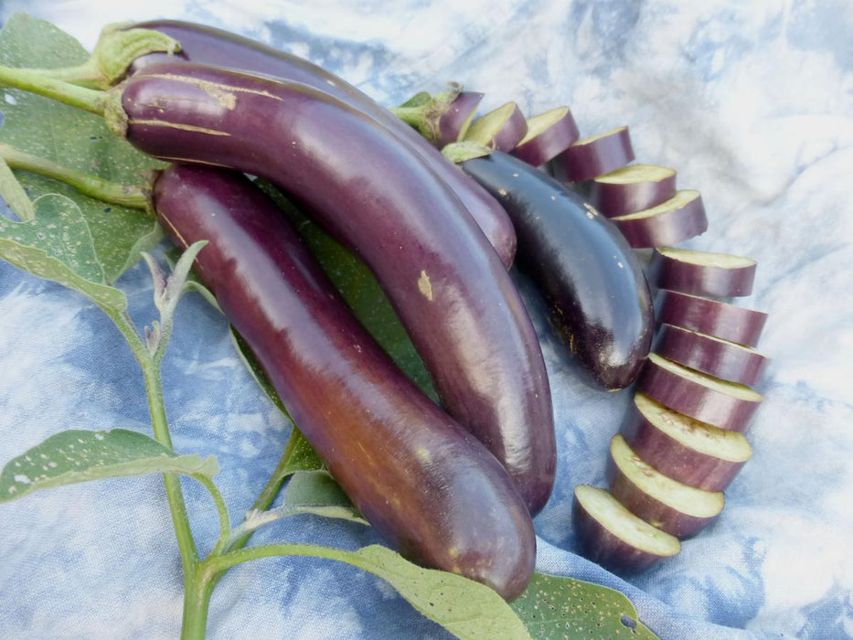 Long Purple Eggplant