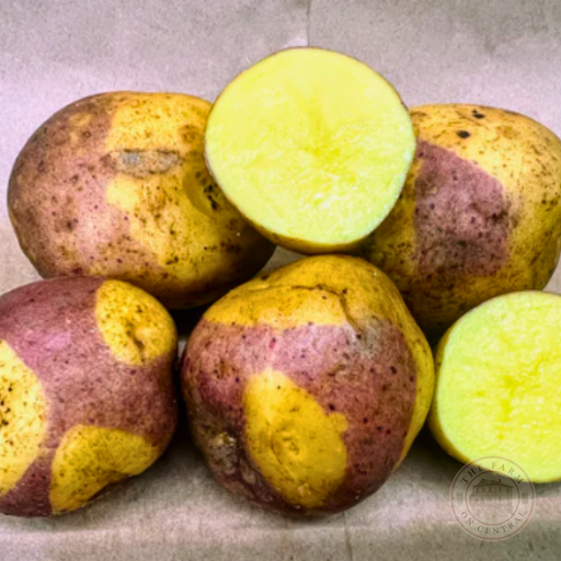 Fresh bicolor red and yellow potatoes, some sliced to reveal vibrant yellow flesh.