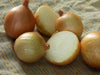 Fresh yellow onions, some whole and some halved, showing white flesh, on a green kitchen towel.