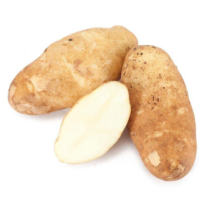 PREORDER Organic Burbank Russet Seed Potato (lb)