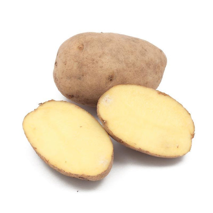 PREORDER Organic German Butterball Seed Potato (lb)