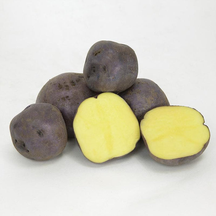 PREORDER Organic Huckleberry Gold Seed Potato (lb)