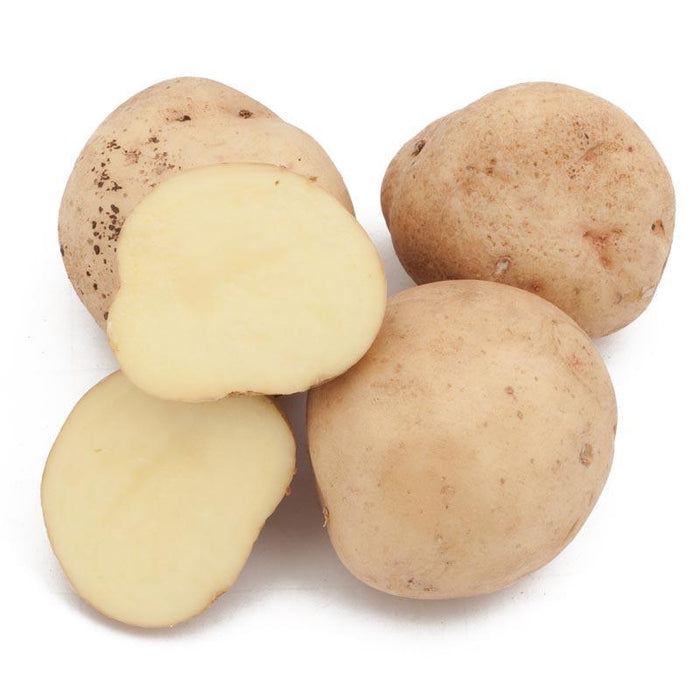 PREORDER Organic Yukon Gold Seed Potato (lb)