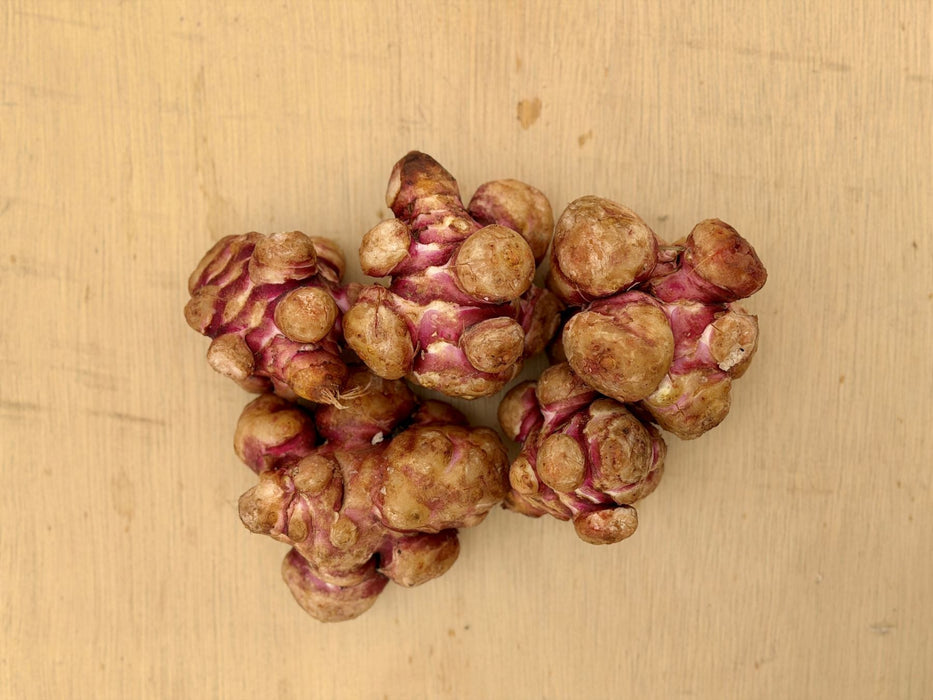 Jerusalem Artichoke Tubers