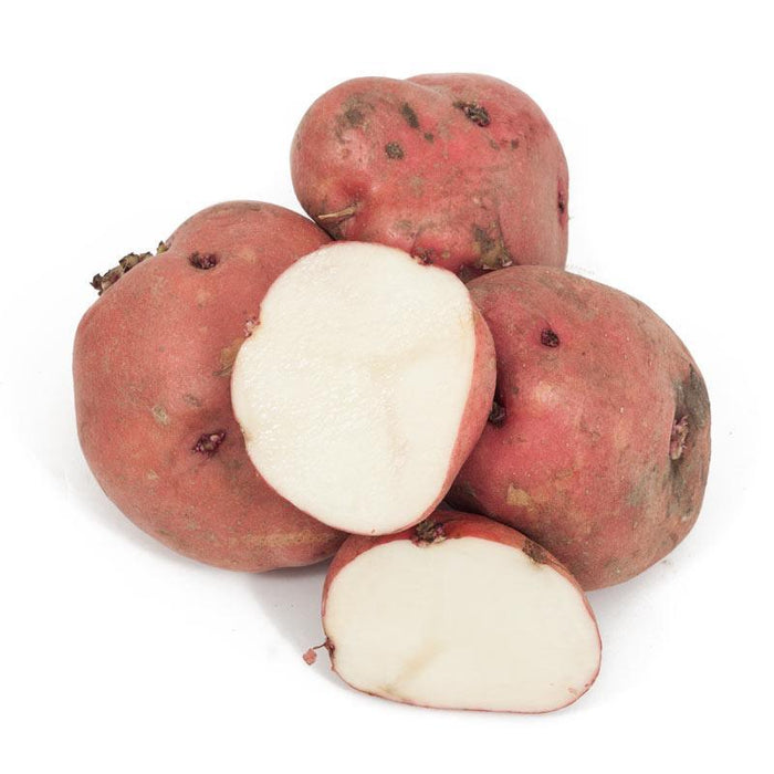 PREORDER Organic Red Pontiac Seed Potato (lb)