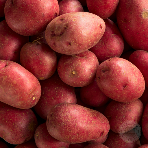 Close-up of fresh red potatoes, perfect for roasting, boiling, and mashing. Healthy farm produce.