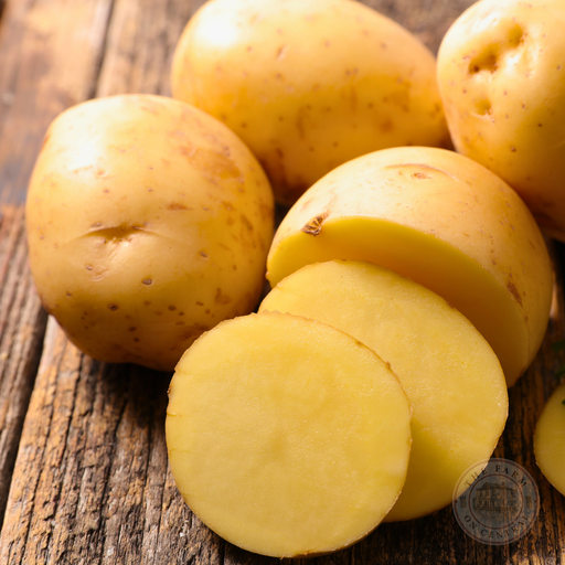 Fresh golden potatoes, whole and sliced, on a rustic wooden table. Raw produce for cooking and healthy meals.
