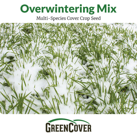 Overwintering Mix