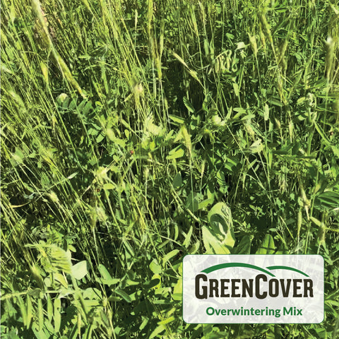 Overwintering Mix