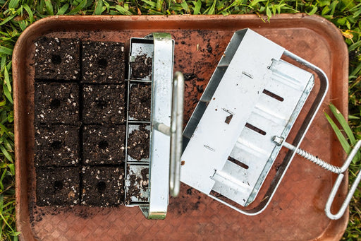 Freshly made soil blocks with a metal soil block maker tool on a brown tray, ready for seed starting or plant propagation.