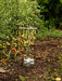 Metal stand-up transplanter in an organic tomato garden, abundant with ripening red and green tomatoes and rich soil.