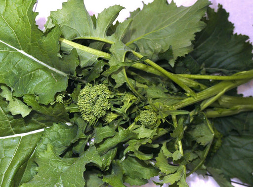 Fresh green rapini, also known as broccoli rabe or broccoli raab, with dark leaves and small florets.