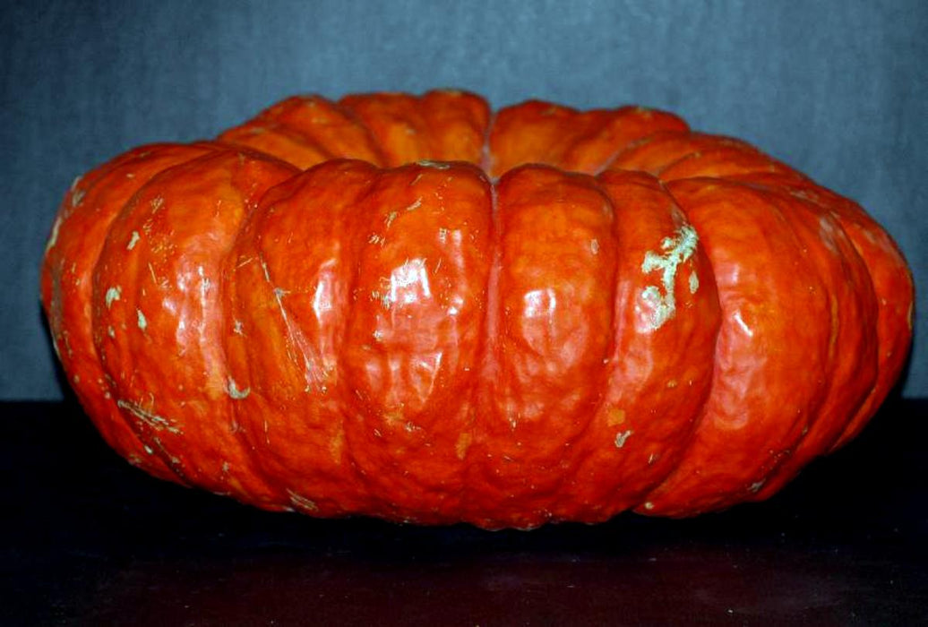 Rouge Vif d’Etampes (Cinderella) Pumpkin