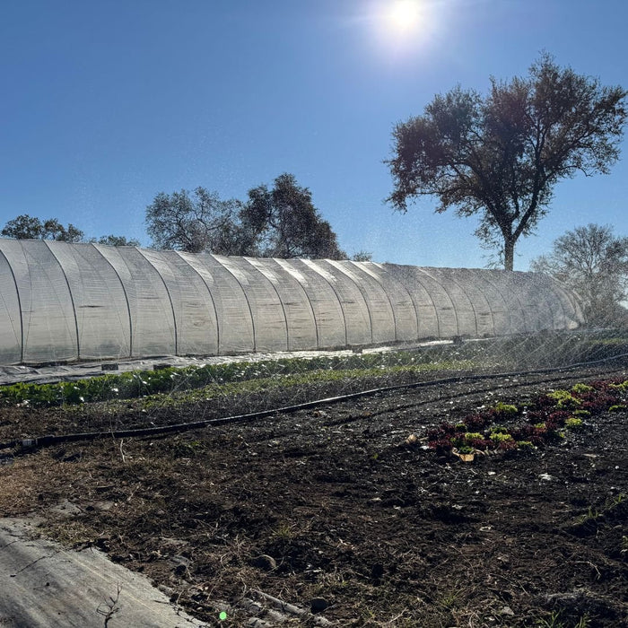 Sumi Soaker Max Irrigation Tubing