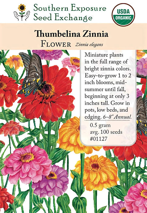 Thumbelina, Zinnia