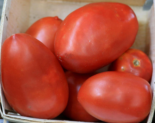 Vibrant red Roma tomatoes piled in a rustic wooden crate. Fresh, ripe produce for cooking or salads.