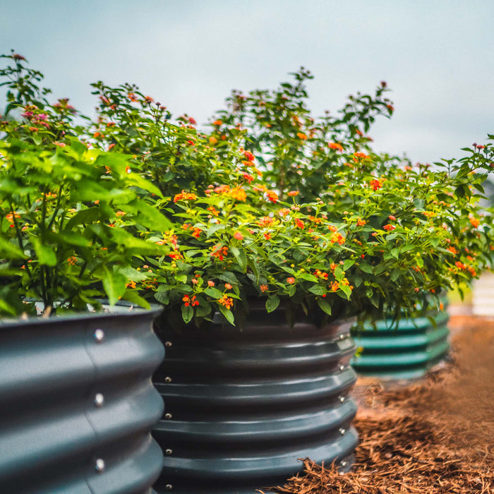 17" Tall 6 In 1 Medium Modular Metal Raised Garden Bed Kit