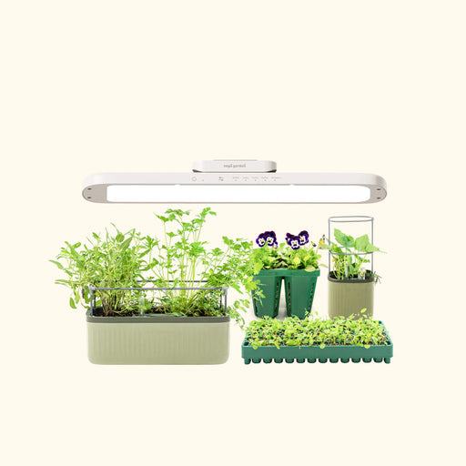 Vego Garden smart hydroponic indoor garden with LED grow light, fresh herbs, pansies, and seedlings in various planters.