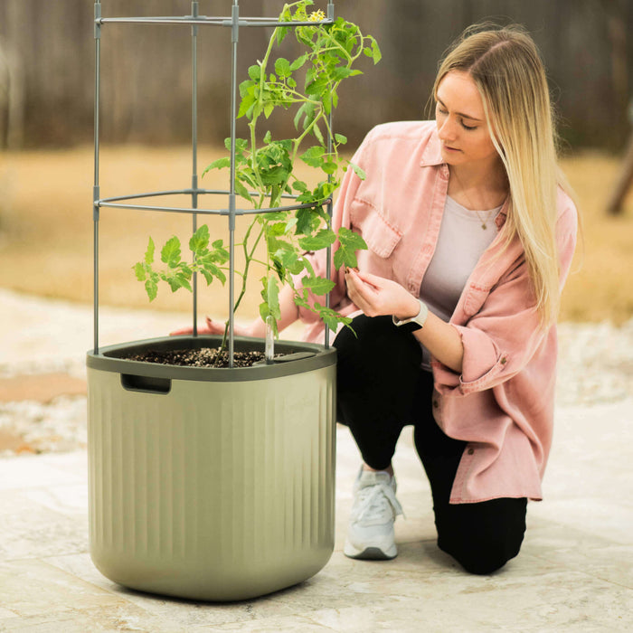 EZ Self-Watering Tomato Planter with Trellis