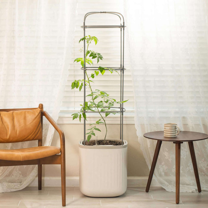 EZ Self-Watering Tomato Planter with Trellis