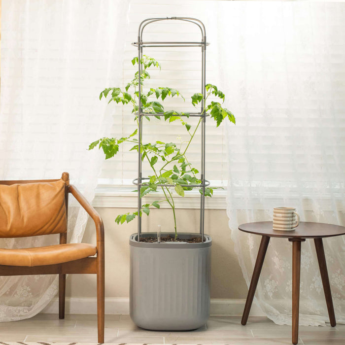 EZ Self-Watering Tomato Planter with Trellis