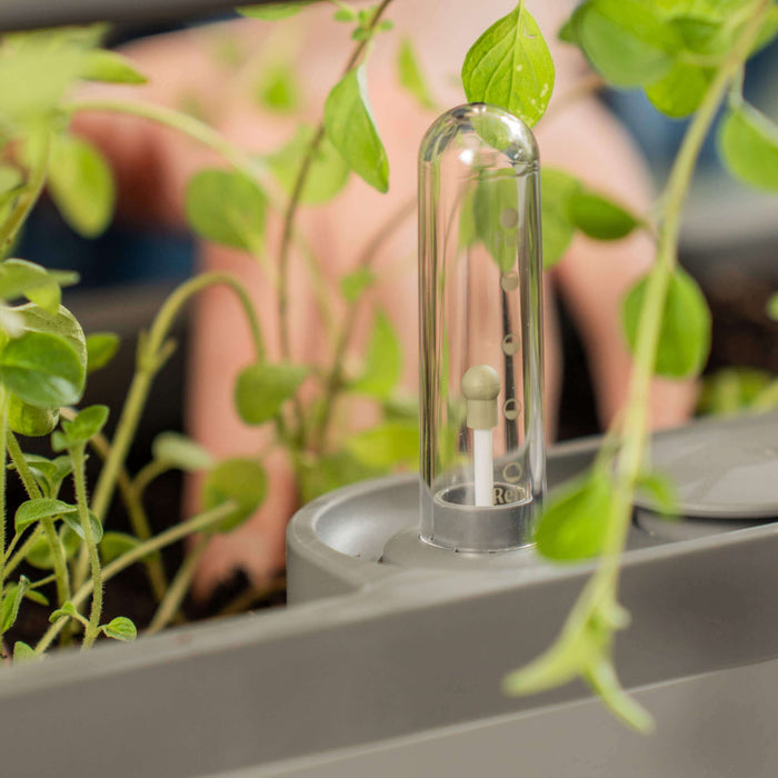 EZ Self-Watering Tomato Planter with Trellis