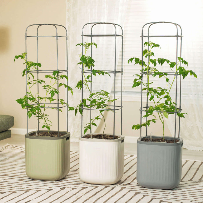 EZ Self-Watering Tomato Planter with Trellis