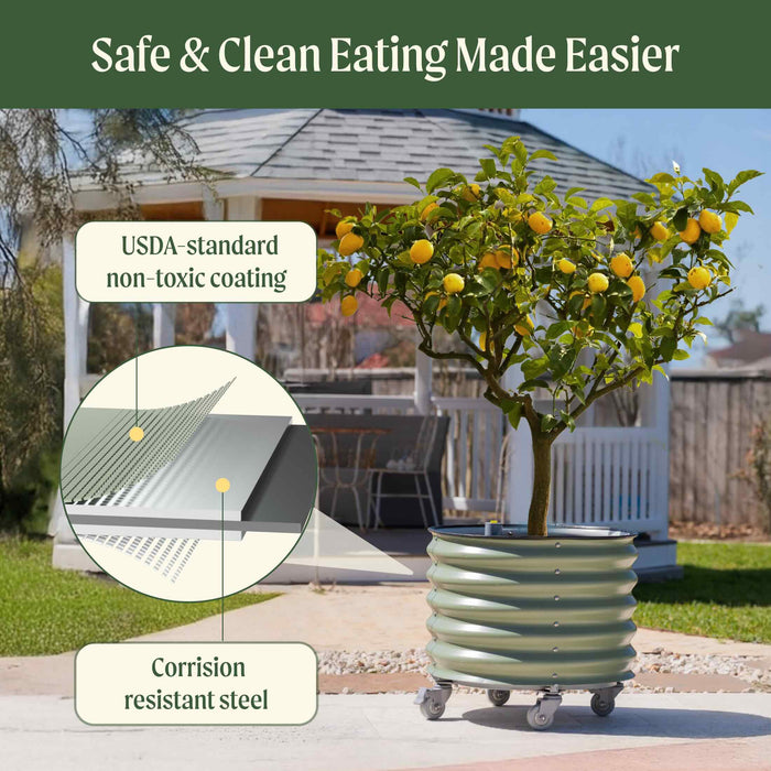 Self-Watering Rolling Citrus Tree Planter - 30 Gallon