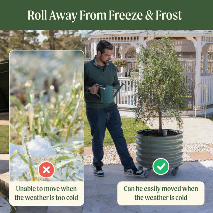 Self-Watering Rolling Citrus Tree Planter - 30 Gallon