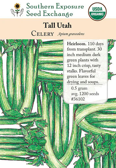 Tall Utah Celery
