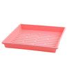 1010 Shallow Seed Trays