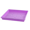 1010 Shallow Seed Trays