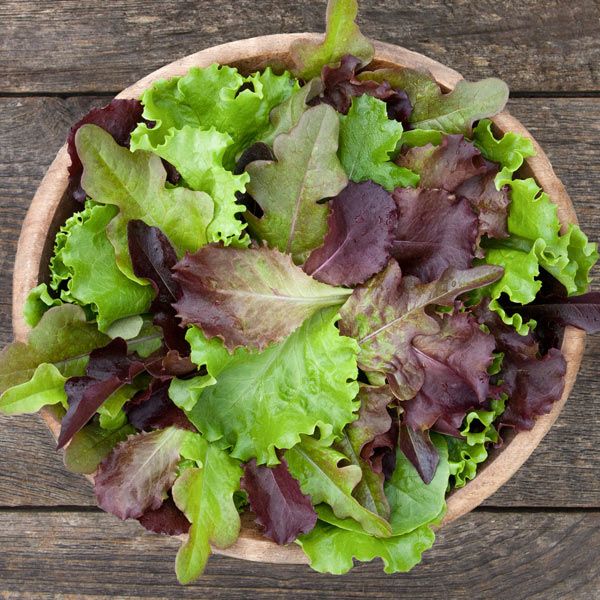 DMR Salad Blend