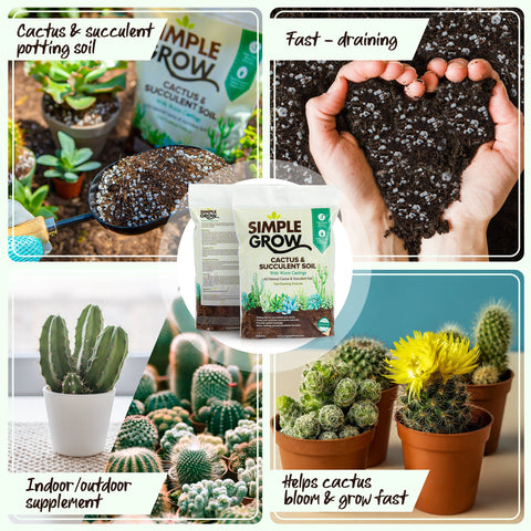 Simple Grow Cactus & Succulent Soil