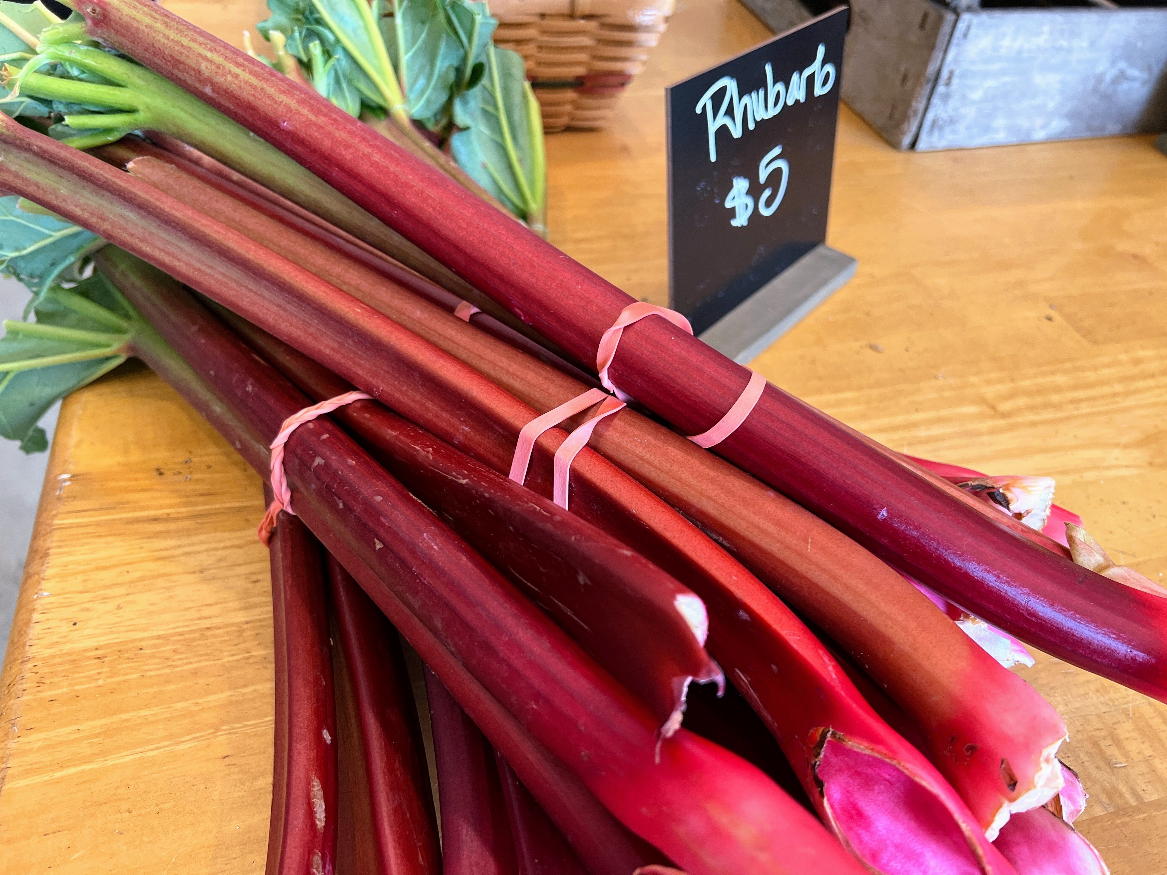 Rhubarb, Crimson Red - Burpee