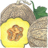 Hearts of Gold Melon Seeds (Organic)