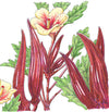 Burgundy Okra Seeds (Organic)