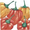 Hot Habanero Pepper Seeds (Organic)