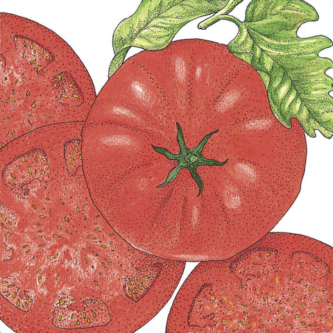Beefsteak Tomato Seeds (Organic)