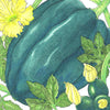 Table Queen Acorn Winter Squash Seeds (Organic)