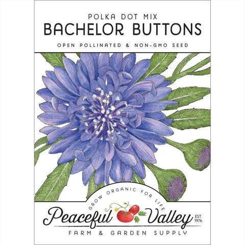 Bachelor Buttons (pack)