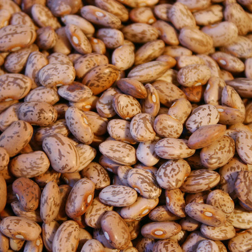 Close-up of speckled dry pinto beans. Healthy legumes, protein-rich ingredient for cooking, chili, and stews.