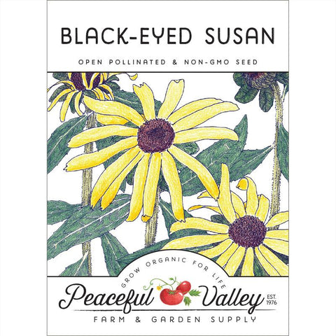 Black-Eyed Susan (pack)