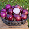 Cabernet Onion Seeds (Organic)