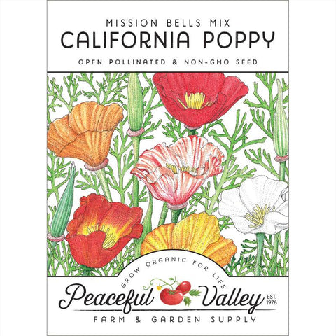 California Poppy, Mission Bells