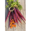 Cosmic Purple Carrot Seeds (Organic)