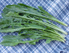 Chicory Catalogna Greens