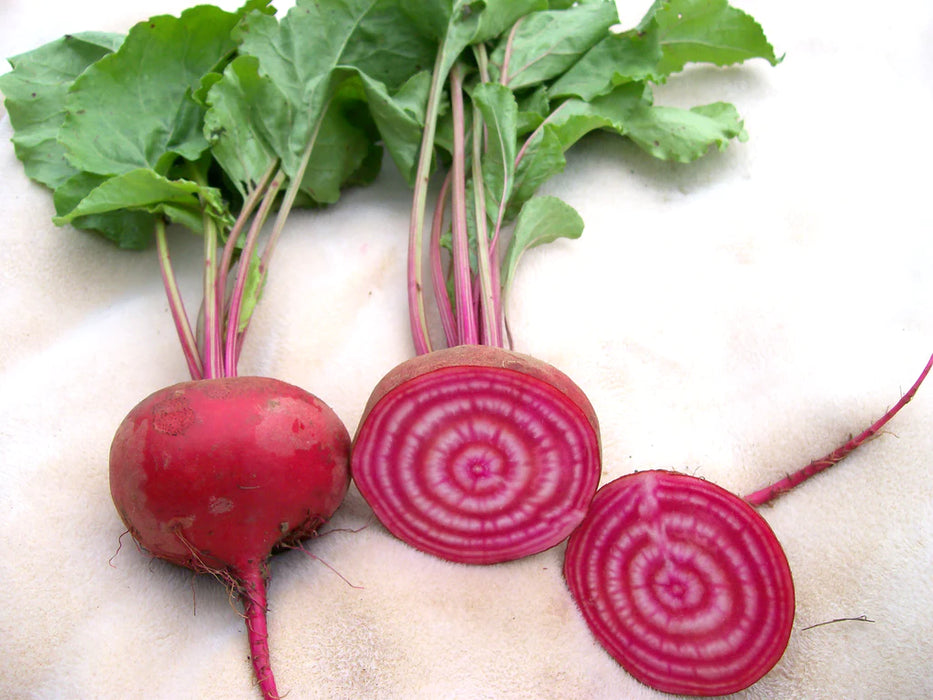 Chioggia (Dolce Di Chioggia) Beet