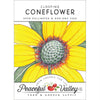 Coneflower, Clasping (pack)