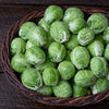 Dagan F1 Brussels Sprouts
